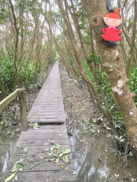 Little My staying dry well above the level of the mangrove delta in the HK wetlands
