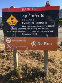 Many ways to say danger at Ocean Beach