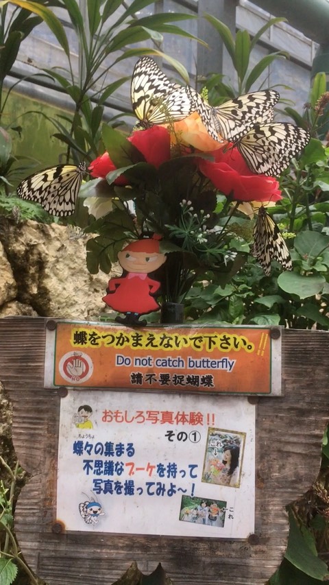 motubu-okinawa-1-2