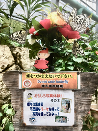 Motubu, Okinawa (1)
