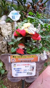 motubu-okinawa-2