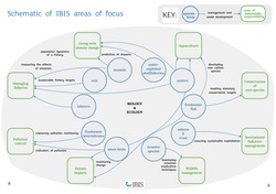 schematic of ibis areas of focus.jpg