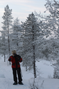 snowshoes in lapland.png