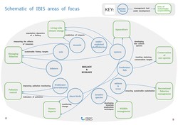 schematic of ibis areas of focus.jpg